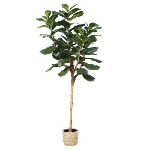 Kunstplant ficus 200 cm