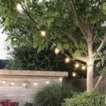 Partylights 10m - Afbeelding 3