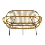 Rotan bank Robin