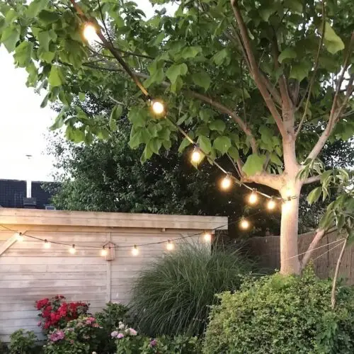 Partylights 5m - Afbeelding 2