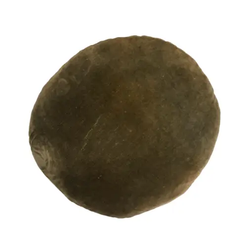 Rond Kussen Mosgroen 60cm