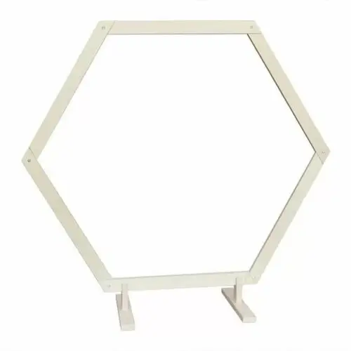Backdrop Hexagon wit