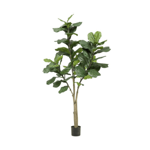 Kunstplant Ficus 180 cm