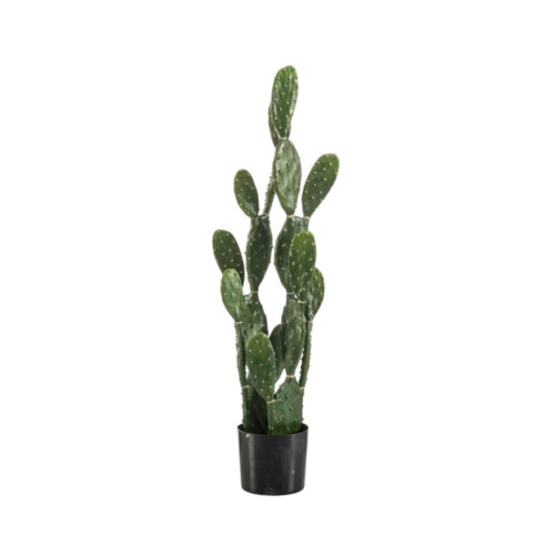 Kunstplant Cactus myrtillo  100 cm