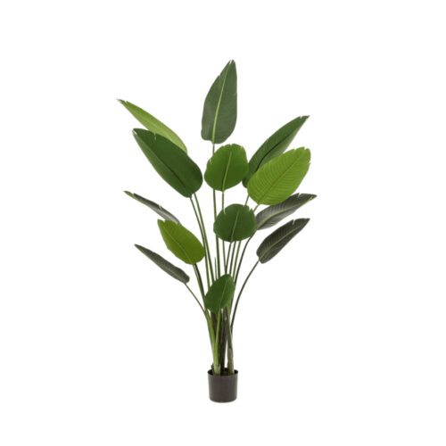 Kunstplant Strelitzia 190 cm