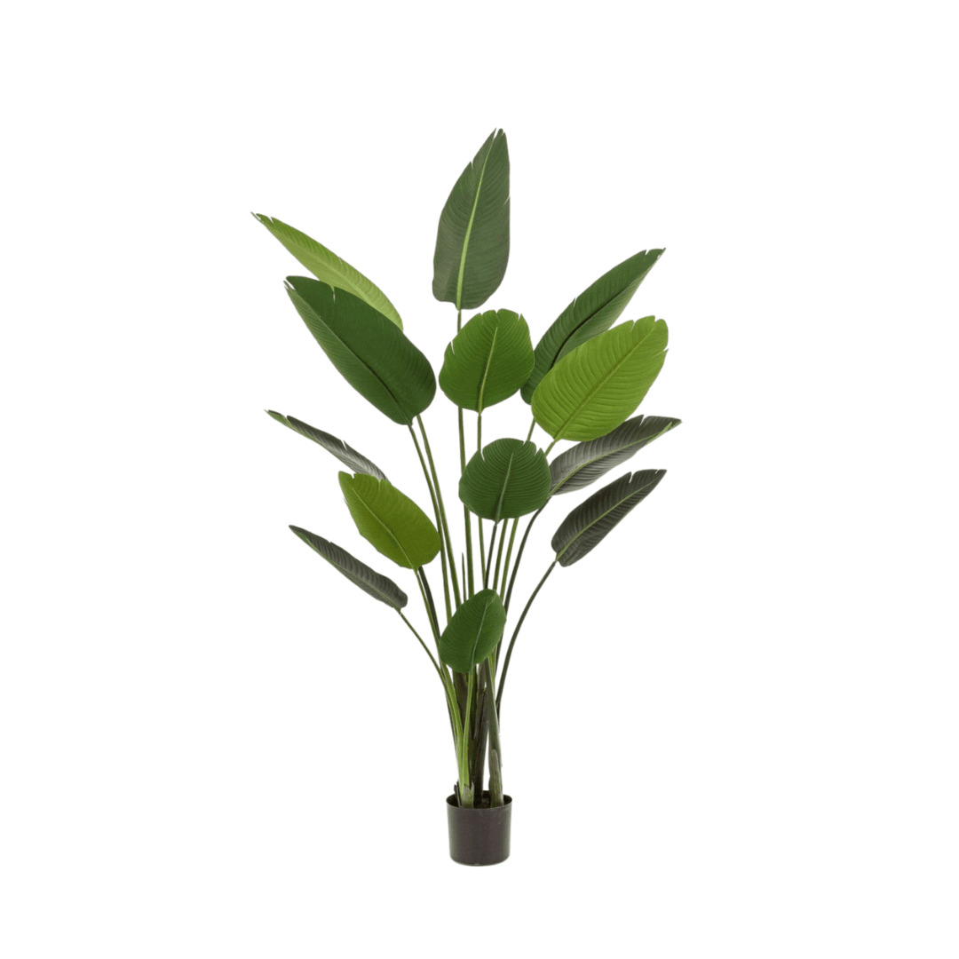 Kunstplant Strelitzia 190 cm