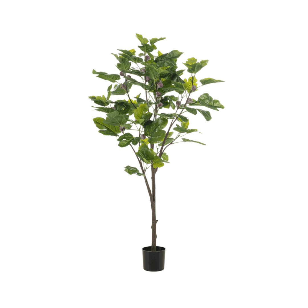 Kunstplant Ficus 145 cm