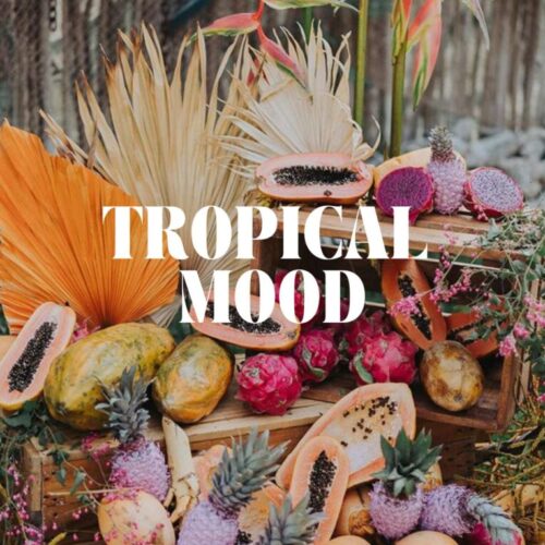 21 diner pakket - Tropical Fiesta