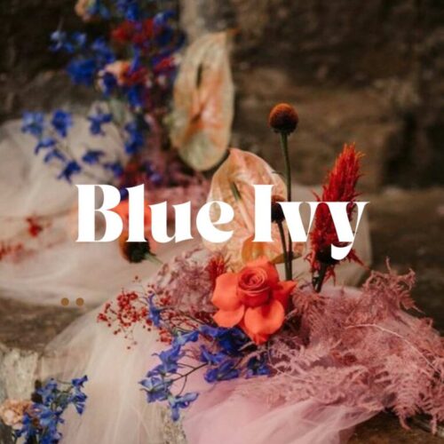 21 diner pakket - Blue Ivy