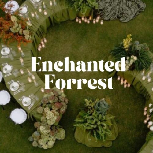 21 diner pakket - Enchanted Forest
